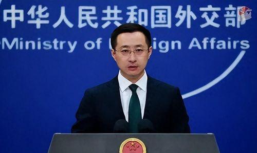 娱乐吃瓜委会副会长,幕后故事与影响力解析